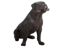 ������� ���.- �����. ����� ������ ������.png