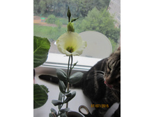 �������