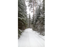 IMG 20151226 145254.jpg