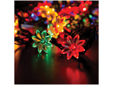 ��������������� ������ 100 ����, 4 �����, 8 �������, 7 � 420,51.jpg