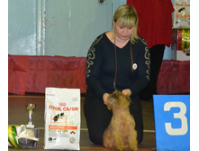 ���� ���������