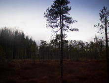 ������ ������� 2015-214.jpg