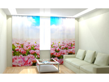 ��������� ���.jpg