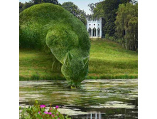 �������������