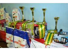 �������� ����