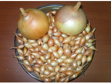 ������� F1 (������ 14-21) 128���. �� 900�, 64���. �� 450�. (� ������ ������ ���������� ������� �� 450�.).jpg