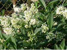 �������� ������������.jpg