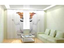 ������������ У�.jpg