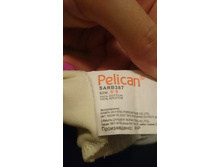 DSC 1198.JPG