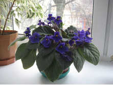 2013-04-07 11-15-13.jpg