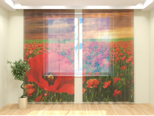 ������� ����.jpg