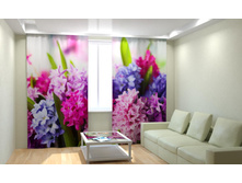 ������ ���.jpg