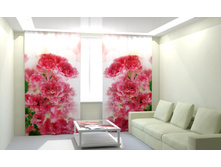 ������� �����.jpg