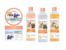 ������ �� ����