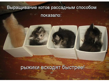 ����������� ����� ��������� ��������