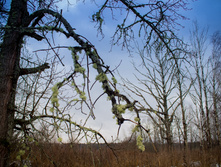 ������ ������� 2015-103.jpg