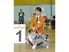 ���� �����