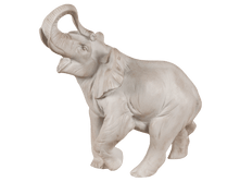 ���� ������� (����������).png