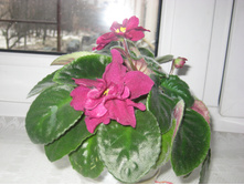 2013-04-07 11-17-36.jpg