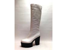 ALT65-F6-2FM ��� 5800���.JPG