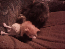 IMG 20151211 131454.jpg