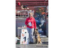 ���������� �� ����� ������ �� ������ (1 ����� �������� - �����)