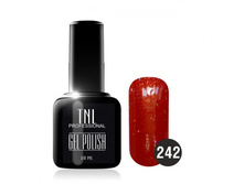 TNL ����-��� 242