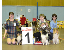 ���� �����