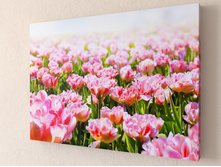 ��������� ���.jpg