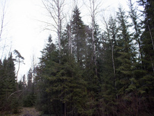 ������ ������� 2015-190.jpg