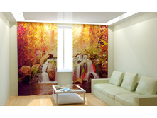 ����������� �������.jpg