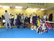 DSCN6075.JPG