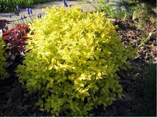 ������ �������� «������ ��������»1.jpg