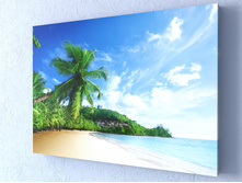 ��������� ����.jpg