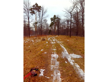 IMG 20151211 122540.jpg