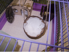 ����� �������� ��� ��������, ����, 150 ������