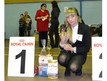 ���� ��������