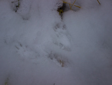 ������ ������� 2015-64.jpg