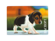 ������� ��� �������� ������� PF(D07)##.jpg