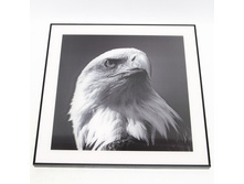 QW-66080 (10) 61�34�64��. ������� ���� � �������� 3D.���� 3150�.jpg