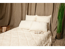 ��������� ����.jpg