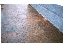 ������������ �������� �����