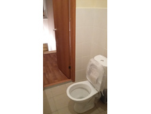 ���� �������