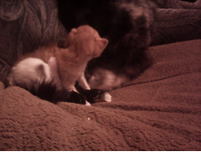 IMG 20151211 131439.jpg