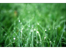 ������� ���., �����. (Duellberg Konzentra)