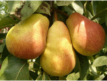 ����� �������-400�