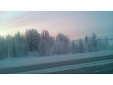 IMG 20151218 111647.jpg