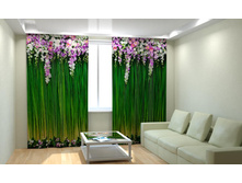 ��������� �����.jpg