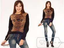 ������ W0381