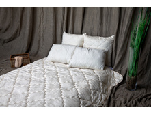 ��������� ��������� ��������.jpg